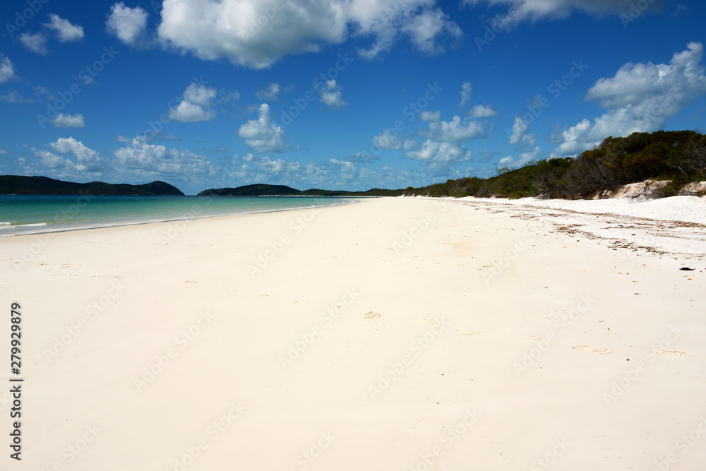 empty tropical beach with white sand on whitsunday island empty tropical beach with white sand on whitsunday island