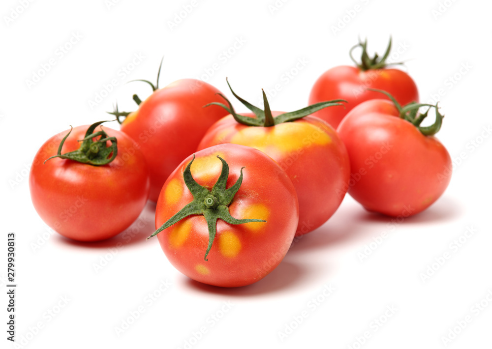 fresh tomato isolated on white background fresh tomato isolated on white background