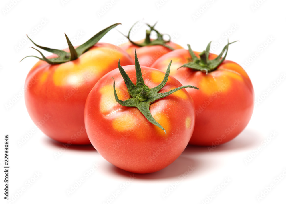 fresh tomato isolated on white background fresh tomato isolated on white background