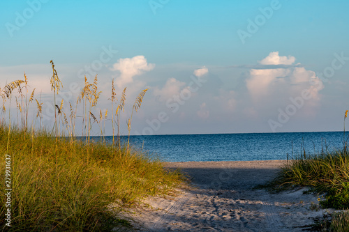 View of a walkway with sea grasses leading to the beach at the Gulf of Mexico, Florida