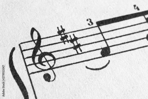 Music Notes on Staves Close-Up photo