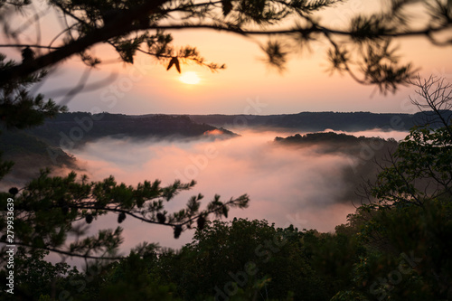 Fotografia Red River Gorge Kentucky foggy morning sunrise
