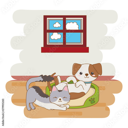 Cat and dog cartoon design