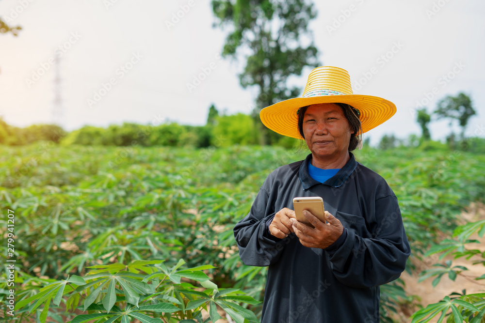 Smart woman farmer holding tablet standing in cassava field for checking her cassava field. Agriculture and smart farmer success concept