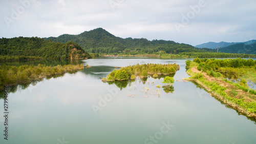 Aerial photo of the floating forest of Chinese fir in fangtang wetland, ningguo city, anhui province, China