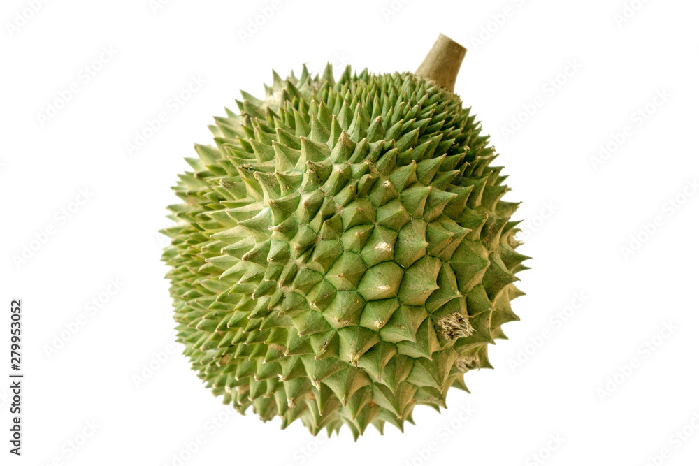 Malaysia famous fruits durian Musang King Malaysia famous fruits durian Musang King