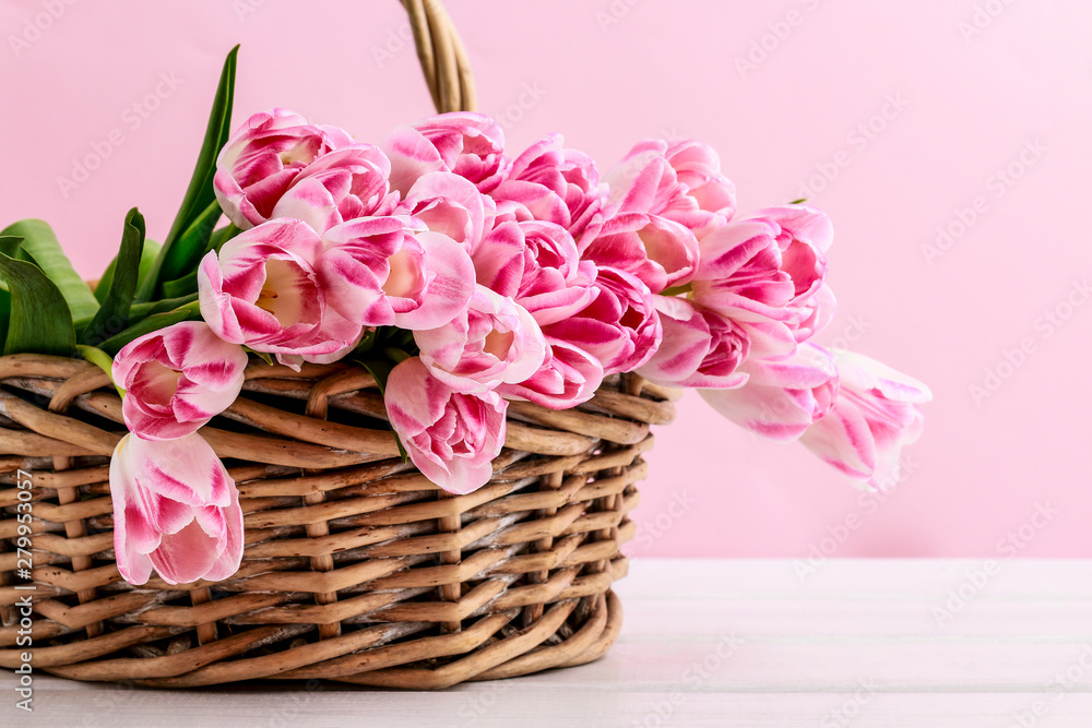 Huge bouquet of pink tulips in wicker basket