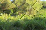 Background texture of painted metal wire mesh against the background of a garden. Cropped shot, horizontal, place for text, without people. The concept of construction and security.