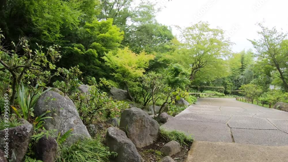 日本の庭 日本の庭