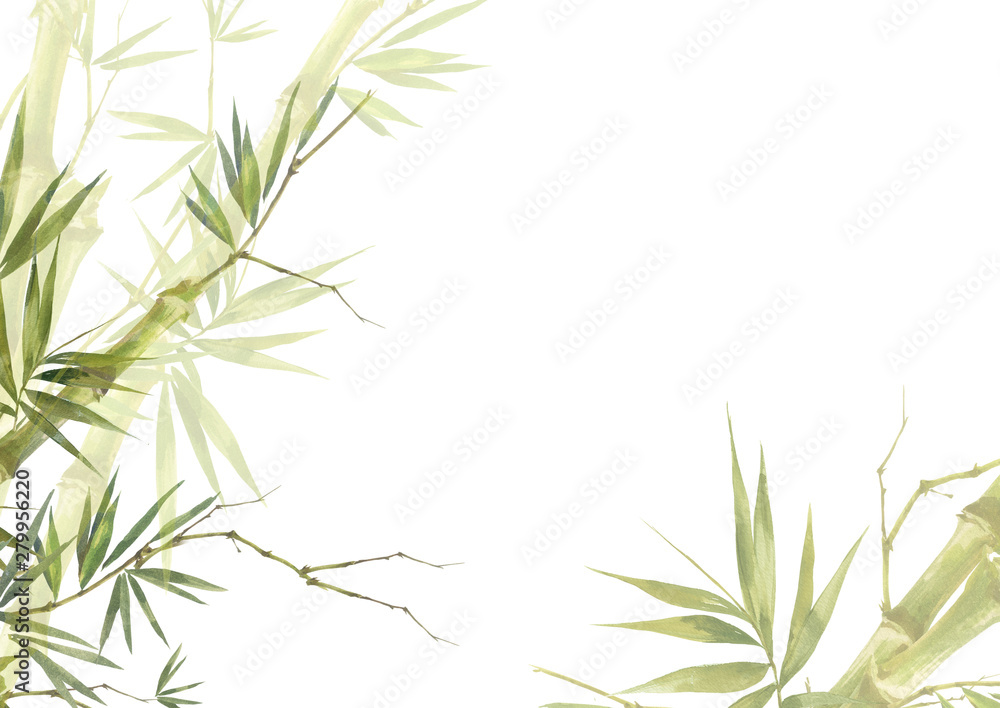 Watercolor illustration painting of bamboo leaves , on white background - obrazy, fototapety, plakaty 