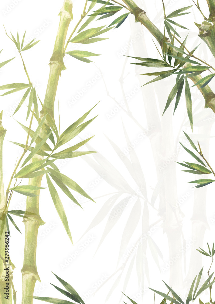 Obraz premium Watercolor illustration painting of bamboo leaves , on white background