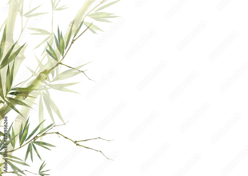 Watercolor illustration painting of bamboo leaves , on white background Watercolor illustration painting of bamboo leaves , on white background