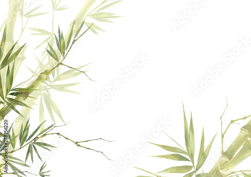 Watercolor illustration painting of bamboo leaves , on white background photo