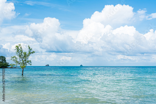 Horizon of the sea and sky in sunny day.