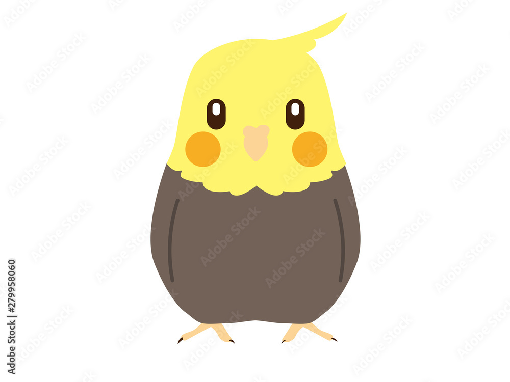オカメインコ_ノーマル オカメインコ_ノーマル