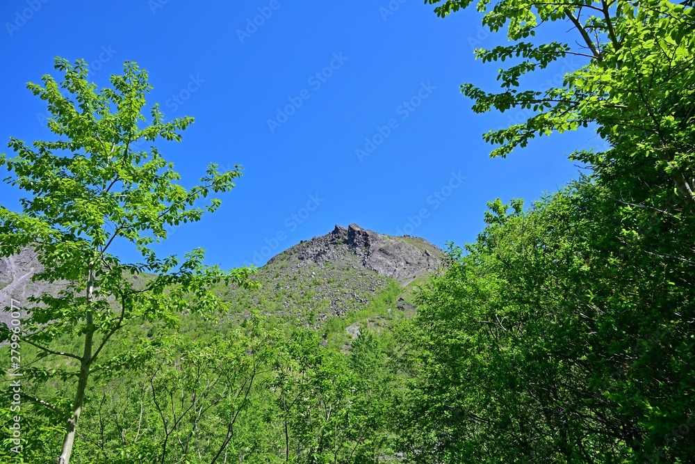 Obraz premium 新緑の若葉と有珠山のコラボ@北海道