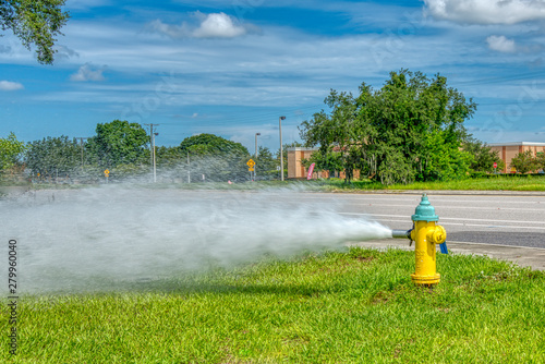 Open fire hydrant gushing water near highway.