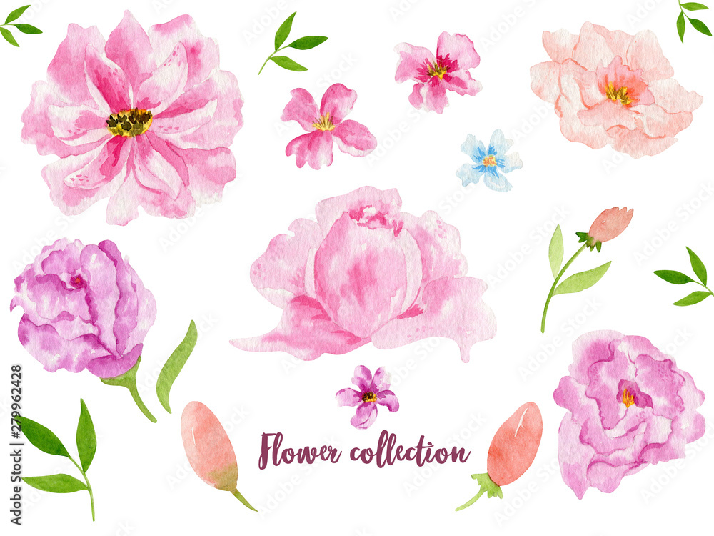 Watercolor floral items. Watercolour bohemian natural frame: leaves, flowers, Isolated on white background.