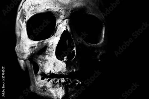skull on black background (ID: 279965071)