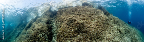 Underwater Cliff Panorama