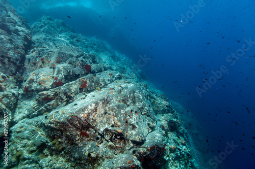 Underwater Cliff Croatia
