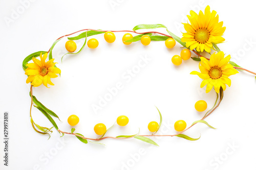 beauty flowers flat lay frame of cherry plum and twigs of the decorative tree salix matsudana tortuosa copy space  on white background top view photo