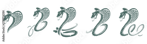 Set of Black King Cobra logo. Snake Tattoo. Indian cobra illustration, drawing. Vector illustration, aggressive and evil spectacled cobra or Naja naja. Vector graphics to design