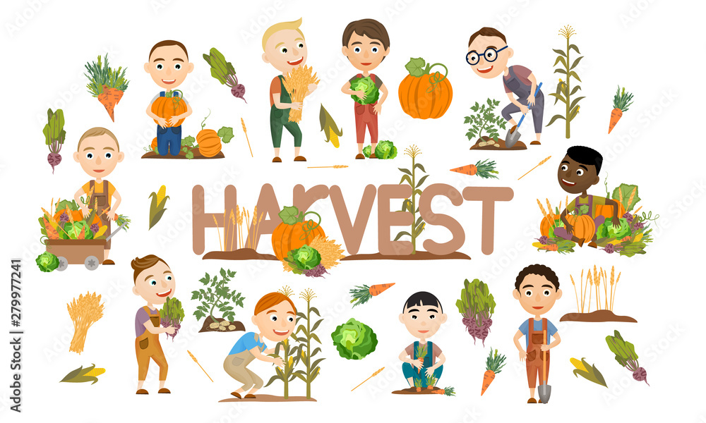 Set of cute boys harvest vegetables and cereals. Harvest cabbage, potatoes, carrots, beets, pumpkins, corn and wheat. Collection of people doing farming job. Vector illustration of kids