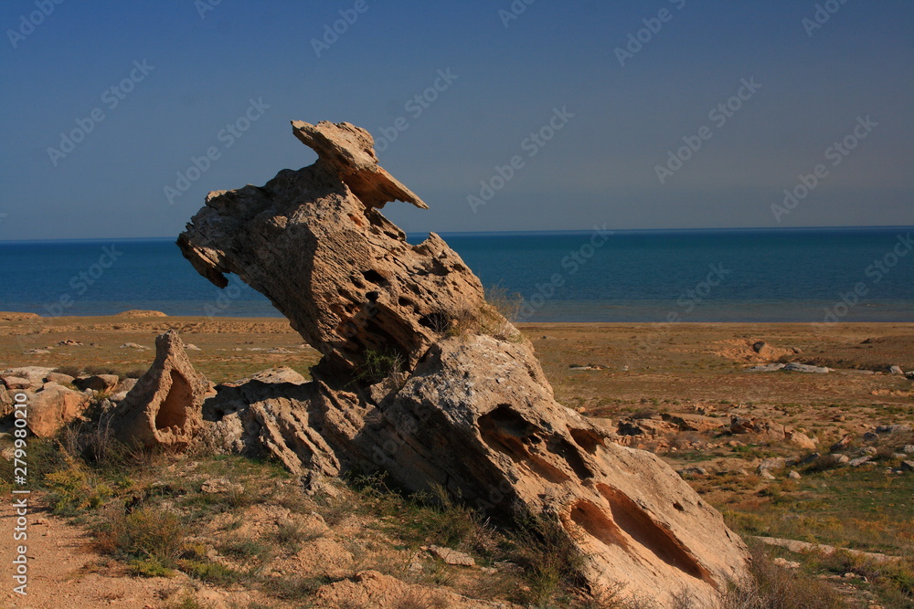 Kazakhstan. Ustyurt Plateau. Rock remnants.
