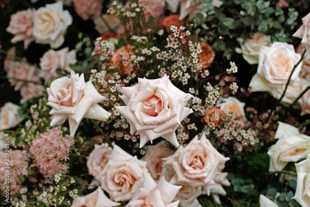 A bouquet of beautiful roses, allium and gypsophilas at the spring festival A bouquet of beautiful roses, allium and gypsophilas at the spring festival