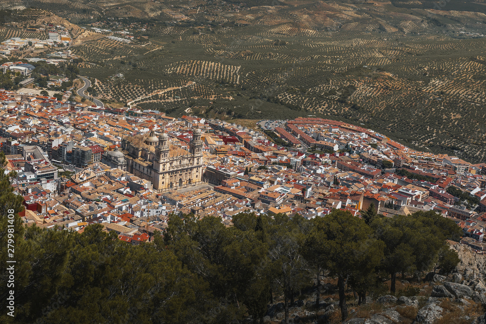 Aerial view of Jaen city with Cathedral and olive trees - Jaen, Andalusia, Spain