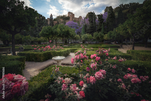 Flowers at Pedro Luis Alonso Gardens with Alcazaba Castle on background - Malaga, Andalusia, Spain photo