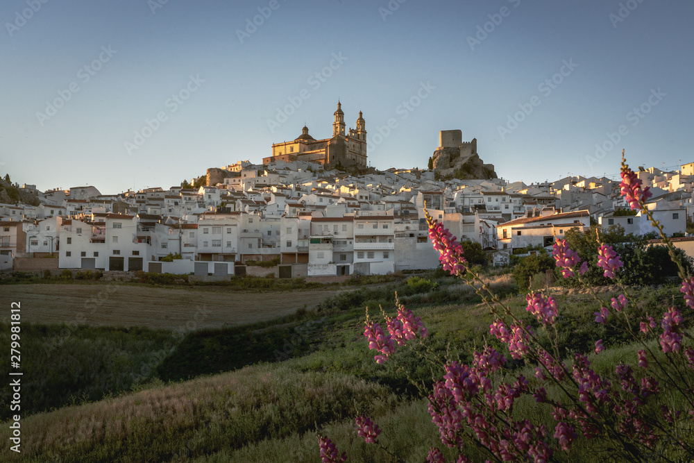 Olvera city with Castle and Cathedral - Olvera, Cadiz Province, Andalusia, Spain