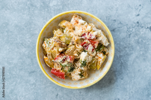 Turkish Appetizer Zucchini Salad Baba Ganoush with Yogurt, Dill and Tomatoes. photo