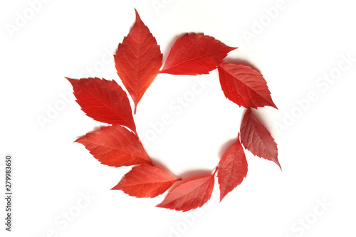 Frame with autumn colorful leaves isalated on white background. Top view. Fall flat lay with place for your text
