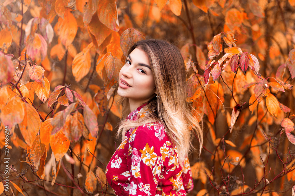 Beautiful girl in a red dress posing on a background of an autumn bush Beautiful girl in a red dress posing on a background of an autumn bush