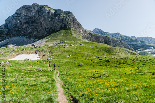 Fototapeta Naklejka Na Ścianę i Meble -  Montenergo, P14 mountain lookout road.