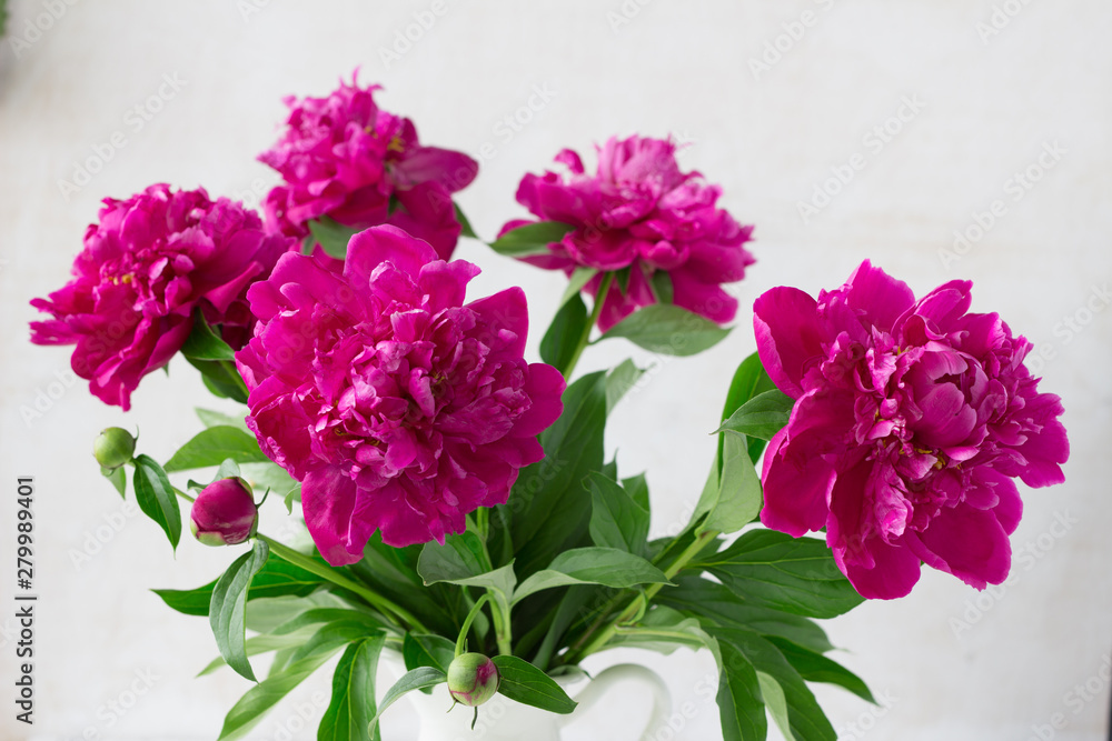 Purple garden peonies in a white enamel jug on a white wooden background, rustic style, close up Purple garden peonies in a white enamel jug on a white wooden background, rustic style, close up