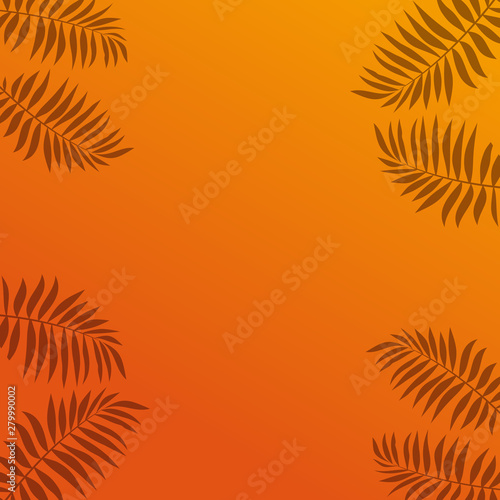 Shadows of tropical palm leaves on an orange