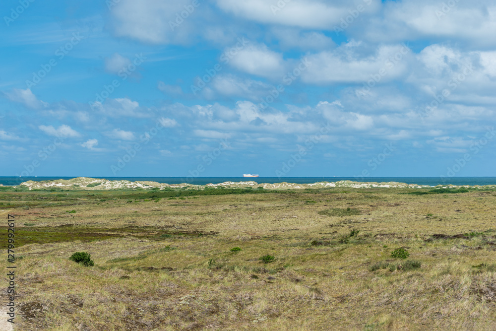 Obraz premium Large white ship on the horizon in a blue sea dune landscape in the foreground. Terschelling, The Netherlands, Europe.