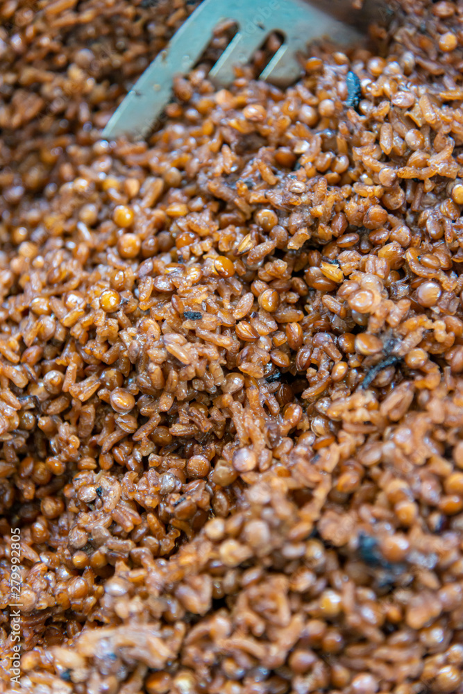 Mujaddara with lentils and caramelized onions Mujaddara with lentils and caramelized onions