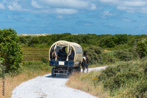 Covered wagon with horse in front rides along a shell path in the dunes. Terschelling, The Netherlands, Europe. photo