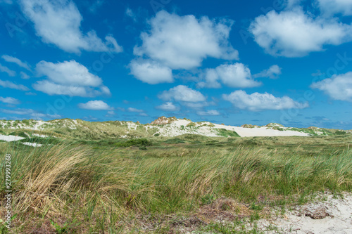 Dune landscape with waving marram grass and white sand dunes under a blue sky with cumulus clouds. Terschelling, The Netherlands, Europe. photo