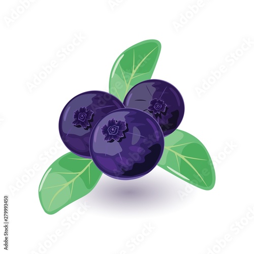 Juicy and fresh blueberry with green leaves. Sweet blue or purple colored bilberry. Huckleberry using for quick frozen, juice, jellies, jams, pies, as addictive to breakfast cereals. Cartoon icon.