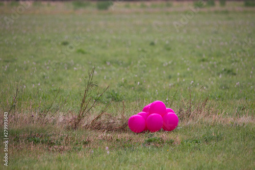 pink colored balloons in a meadow photo