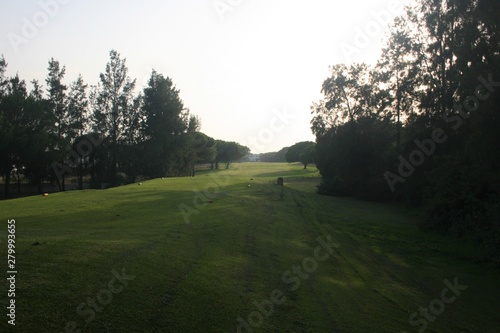 golf course with green grass