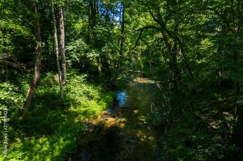 Rzeka rzeczka strumień potok las w lesie bory zielono wakacje