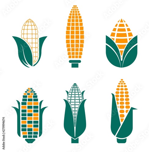 Corn vegetables isolated icons farm food and field plant