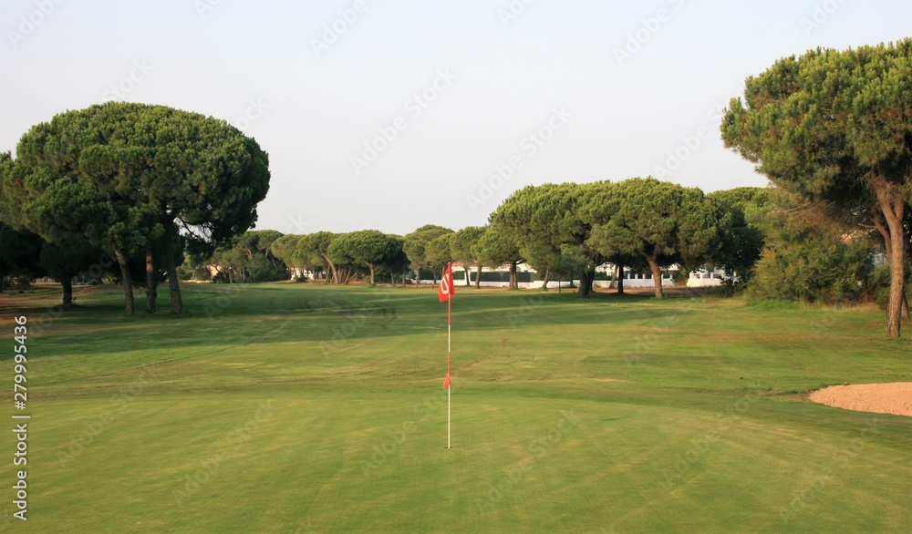 Fototapeta premium golf course with trees