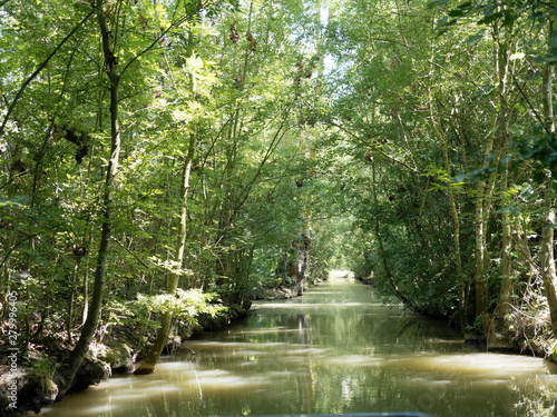 Quadro su tela Balade dans le Marais poitevin